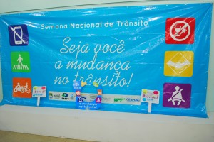 DSC_0028 (2)