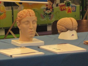 Fisioterapia-Cesmac participa de ação AVC- em shopping da capital 1