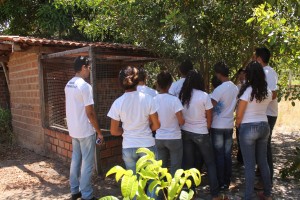 Medicina- Veterinária do Cesmac- realiza mais uma- Ação Ambiental 1