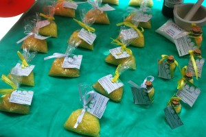 Farmácia - Indoor trabalha  a qualidade - de vida -dos- obesos no Cesmac 2