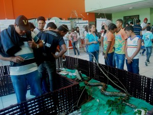 SEMPRAVET -movimenta Clínica- Escola de Medicina- Veterinária -do Cesmac 8