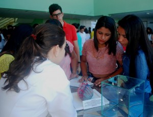 SEMPRAVET -movimenta Clínica- Escola de Medicina- Veterinária -do Cesmac 8