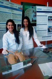 SEMPRAVET -movimenta Clínica- Escola de Medicina- Veterinária -do Cesmac 8