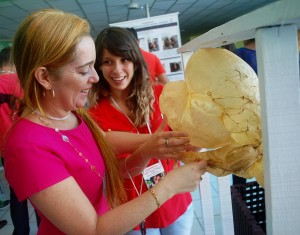 SEMPRAVET -movimenta Clínica- Escola de Medicina- Veterinária -do Cesmac 8