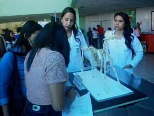 SEMPRAVET -movimenta Clínica- Escola de Medicina- Veterinária -do Cesmac 8