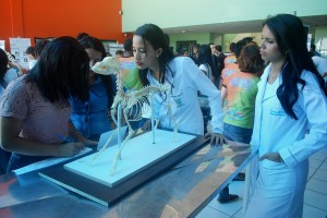 SEMPRAVET -movimenta Clínica- Escola de Medicina- Veterinária -do Cesmac 8