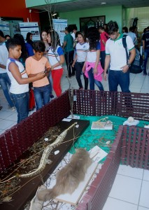 SEMPRAVET -movimenta Clínica- Escola de Medicina- Veterinária -do Cesmac 8