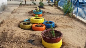 Curso- de -Ciências -Biológicas -desenvolve -Projeto -Plantar 4