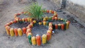 Curso- de -Ciências -Biológicas -desenvolve -Projeto -Plantar 4