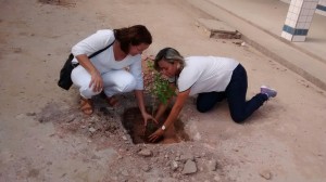 Curso- de -Ciências -Biológicas -desenvolve -Projeto -Plantar 4