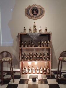 Feira- de- Profissões- movimenta- Galeria- Cesmac- de -Arte-13