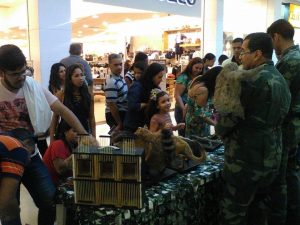 Exposição- do- curso- de- Ciências- Biológicas- chama- a- atenção- do- público - Cesmac 10