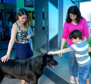 Focinhos- Terapeutas- em- ação- no- Campus- I- Cesmac 20