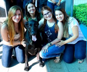 Focinhos- Terapeutas- em- ação- no- Campus- I- Cesmac 20