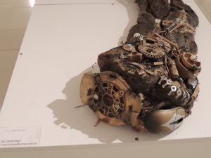Galeria- Cesmac- de- Arte- recebe- nova- Exposição  35