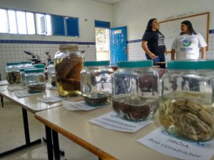 Ciências- Biológicas- faz- visita- em- escolas-Cesmac_ 03