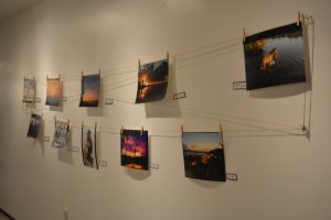 Mostra- movimenta- Galeria- Cesmac- de- Arte (22)