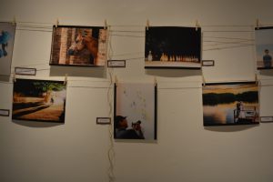 Mostra- movimenta- Galeria- Cesmac- de- Arte (22)