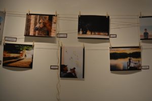Mostra- movimenta- Galeria- Cesmac- de- Arte (22)