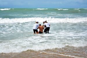 acao-reforca-importancia-dos-cuidados-com-a-saude-do-idoso-39