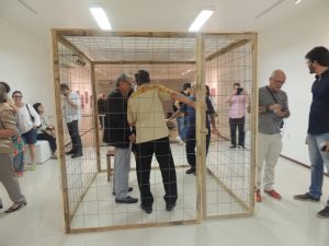 galeria-cesmac-de-arte-abre-exposicao-de-francisco-oiticica-21