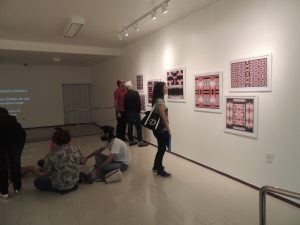 galeria-cesmac-de-arte-abre-exposicao-de-francisco-oiticica-21