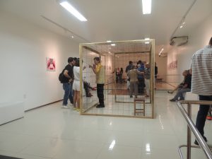 galeria-cesmac-de-arte-abre-exposicao-de-francisco-oiticica-21