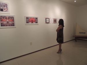 galeria-cesmac-de-arte-abre-exposicao-de-francisco-oiticica-21