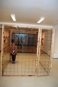 galeria-cesmac-de-arte-abre-exposicao-de-francisco-oiticica-21