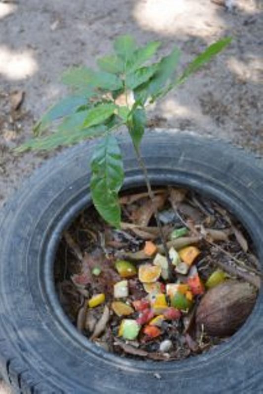 acao-de-educacao-ambiental-aproxima-criancas-da-universidade-cesmac-36
