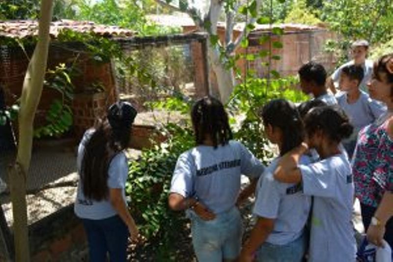 acao-de-educacao-ambiental-aproxima-criancas-da-universidade-cesmac-36