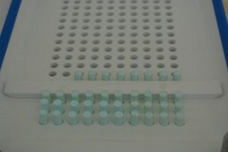curso-de-farmacia-faz-acao-com-medicamentos-e-cosmeticos-cesmac-59