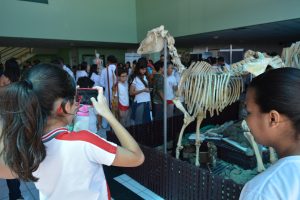 semana-de-eventos-no-curso-de-medicina-veterinaria-cesmac-50