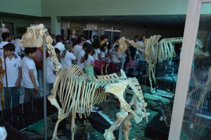 semana-de-eventos-no-curso-de-medicina-veterinaria-cesmac-50