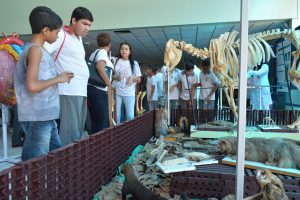 semana-de-eventos-no-curso-de-medicina-veterinaria-cesmac-50