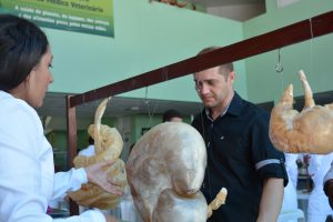 semana-de-eventos-no-curso-de-medicina-veterinaria-cesmac-50