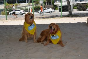 vii-jogos-de-praia-do-cesmac-1