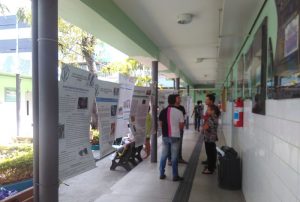 culminancia-marca-final-do-semestre-para-alunos-de-medicina-veterinaria-cesmac-4