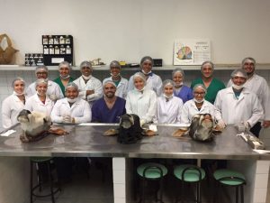 curso-de-ensino-pratico-de-tecnicas-cirurgicas-medicina-veterinaria-cesmac-2