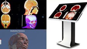 tela-possibilita-estudos-aprofundados-e-especifico-do-corpo-humano
