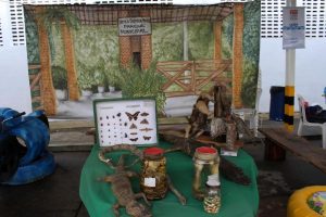 img_4230