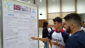 imagem13