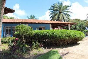 cesmac-participa-da-implantacao-de-horta-de-plantas-medicinais-44