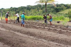 cesmac-participa-da-implantacao-de-horta-de-plantas-medicinais-44