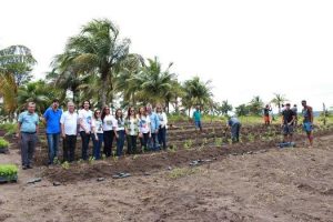 cesmac-participa-da-implantacao-de-horta-de-plantas-medicinais-44