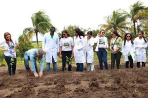 cesmac-participa-da-implantacao-de-horta-de-plantas-medicinais-44