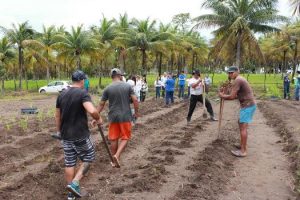 cesmac-participa-da-implantacao-de-horta-de-plantas-medicinais-44