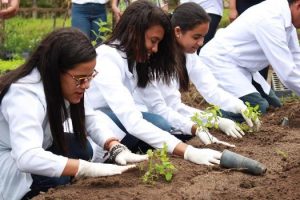 cesmac-participa-da-implantacao-de-horta-de-plantas-medicinais-44