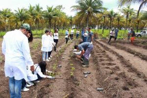 cesmac-participa-da-implantacao-de-horta-de-plantas-medicinais-44