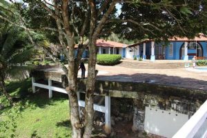 cesmac-participa-da-implantacao-de-horta-de-plantas-medicinais-44